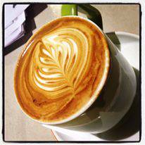 Department Of Coffee - Kingaroy Accommodation 4