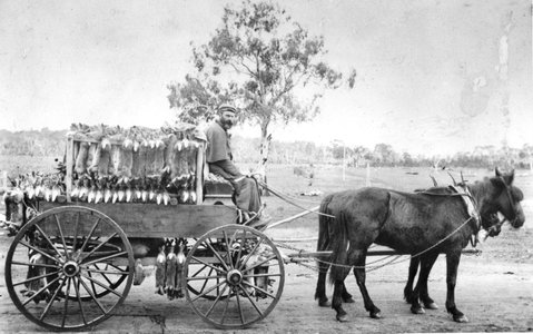 A Tale Of Two Villages - An Exhibition - Kingaroy Accommodation 1