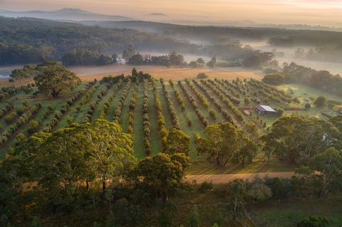 A Taste Of Truffles - Kingaroy Accommodation 1