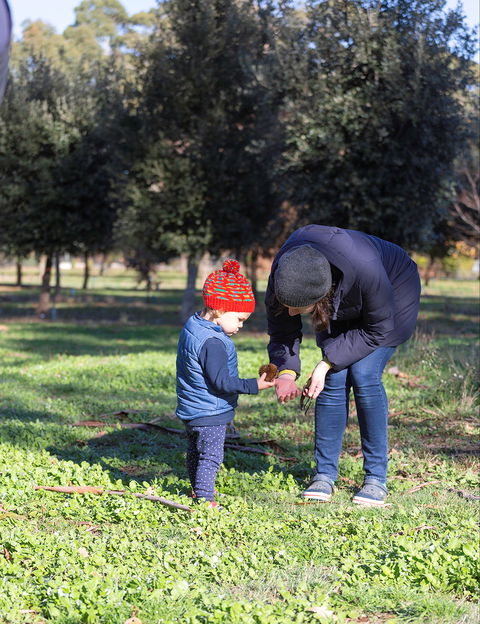 A Taste Of Truffles - Kingaroy Accommodation 2