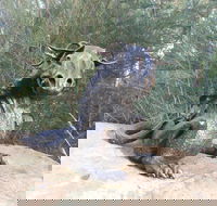 Bathurst Arts Trail - Kingaroy Accommodation