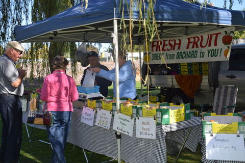Corowa Rotary Federation Festival Market - Kingaroy Accommodation 0