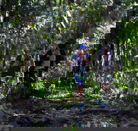 Elephant Trail Race - Kingaroy Accommodation