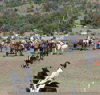Gresford Agricultural Show - Kingaroy Accommodation