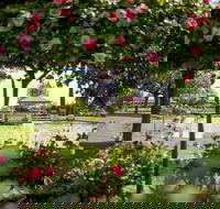 Griffith Spring Fest - Kingaroy Accommodation