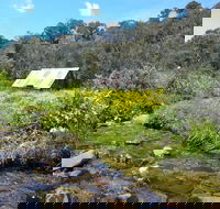 Hedonistic Hiking's Falls Creek to Hotham - Kingaroy Accommodation