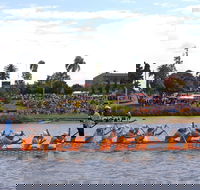Jacaranda Dragon Boat Races - Kingaroy Accommodation