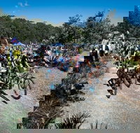 JetBlack Wild Wombat MTB Challenge - Kingaroy Accommodation