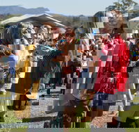 Lovedale Long Lunch - Kingaroy Accommodation