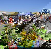 Maclean Community Monthly Markets - Kingaroy Accommodation