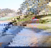 Mountain Man Tri Challenge - Kingaroy Accommodation