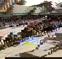 Scone Horse Festival - Kingaroy Accommodation