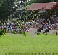 Tumut Derby Day - Kingaroy Accommodation