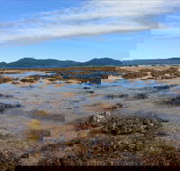Walk to the Reef - Kingaroy Accommodation