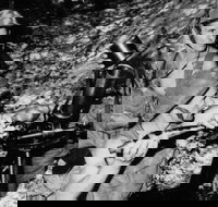 War on our shores - Kingaroy Accommodation