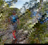Wild Earth Coastal High 50 - Kingaroy Accommodation