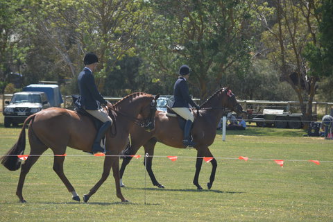 Yankalilla Show - Kingaroy Accommodation 2