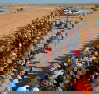 28th Marree Australasian CAMEL CUP 3 July 2021 - Kingaroy Accommodation