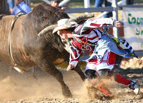 AgriWest Cooma Rodeo - Kingaroy Accommodation 2