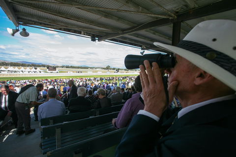 Albury Racing Club Boxing Day Races - Kingaroy Accommodation 1