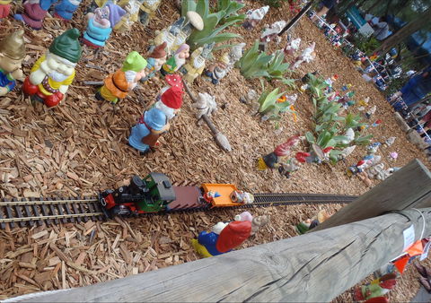 Australia Day With The Australian Gnome Convention Glenbrook - Kingaroy Accommodation 2