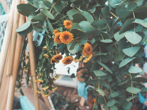 Boho Luxe Market - Adelaide - Kingaroy Accommodation 1