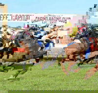 Casino Cup - Kingaroy Accommodation