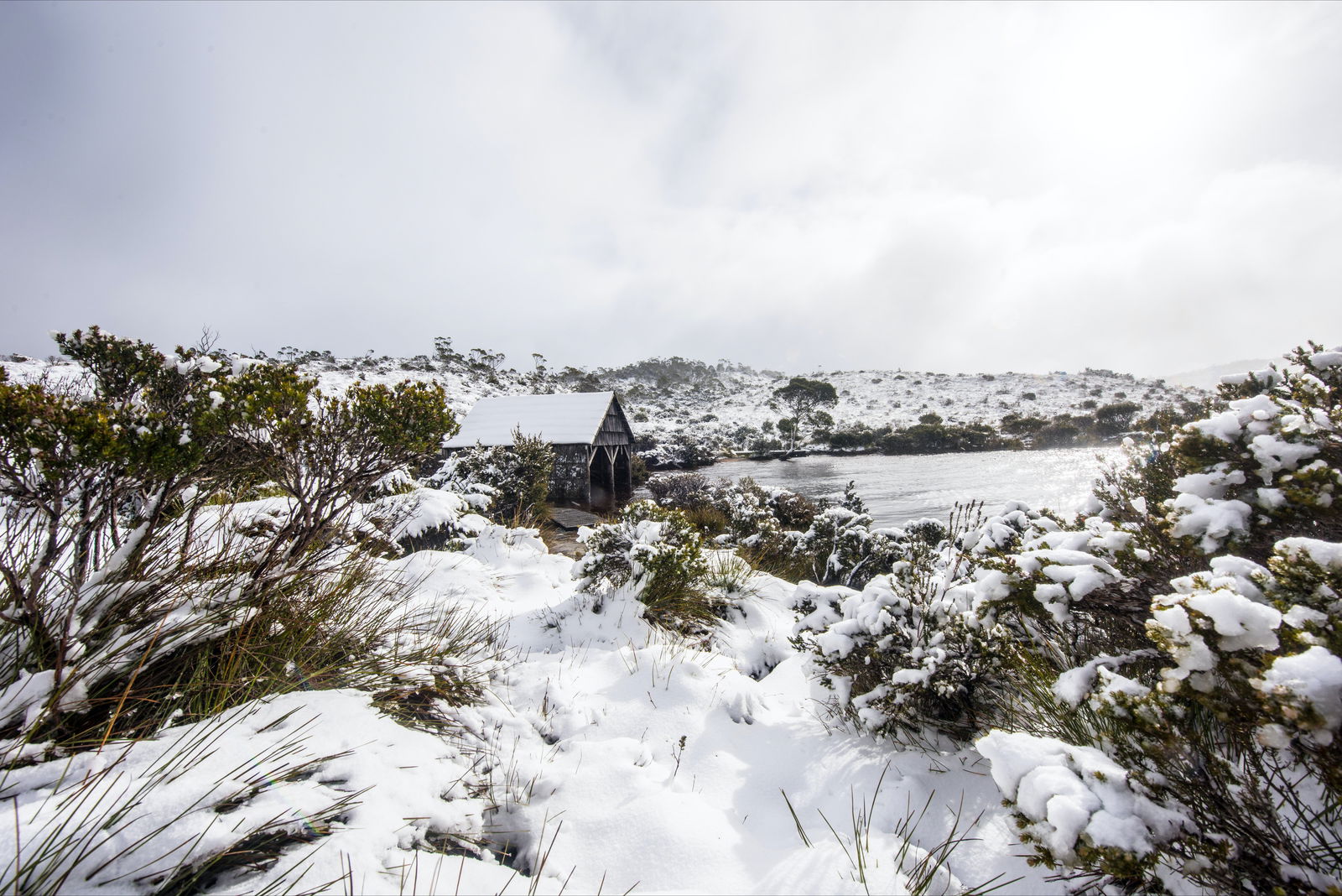 Cradle Mountain TAS Kingaroy Accommodation