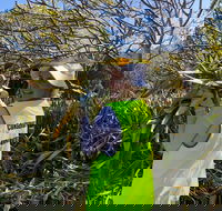 Conservation Volunteers Australia Townsville - Beach Scrub Conservation - Kingaroy Accommodation