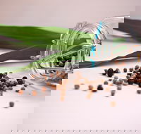 Cooking with Australian Indigenous Spices cooking class - Kingaroy Accommodation