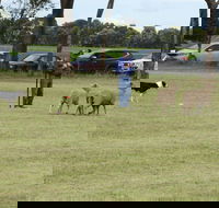 Dean Sheepdog Trials - Old Sniff Classic - Kingaroy Accommodation