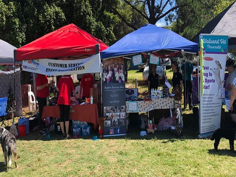 Dogs In The Park Swansea - Kingaroy Accommodation 1