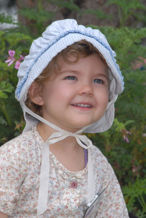 Festival Of The Big Cow - Kingaroy Accommodation 1