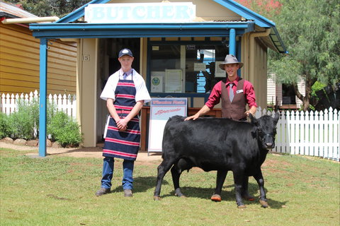 Festival Of The Big Cow - Kingaroy Accommodation 2