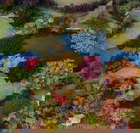 Glenrock Gardens Open Garden - Kingaroy Accommodation