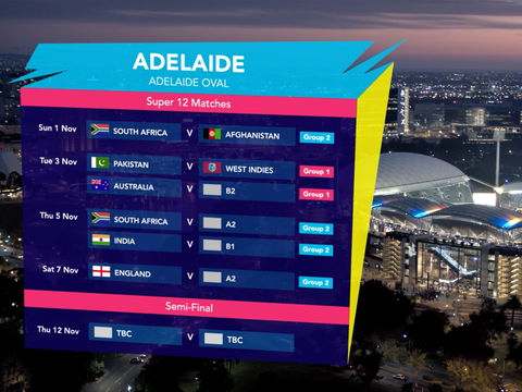 ICC Men's T20 World Cup - South Africa V Qualifier - Kingaroy Accommodation 2