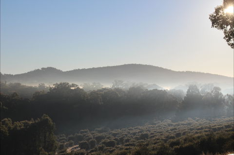 Mudgeeque - Kingaroy Accommodation 0