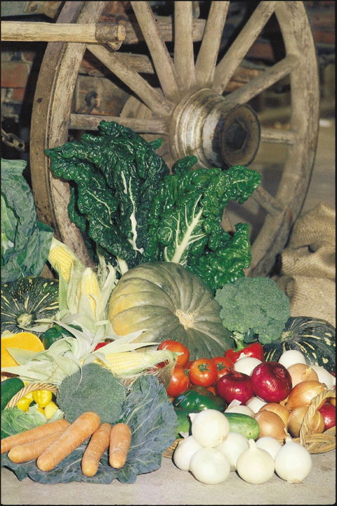 Mulgowie Real Farmers Markets - Kingaroy Accommodation 0