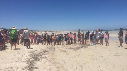 Perlubie Beach Sports Day - Kingaroy Accommodation 1