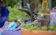 QCWA Sunday Markets - thumb 1