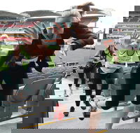 Stadium Stomp Adelaide Oval - Postponed - Kingaroy Accommodation