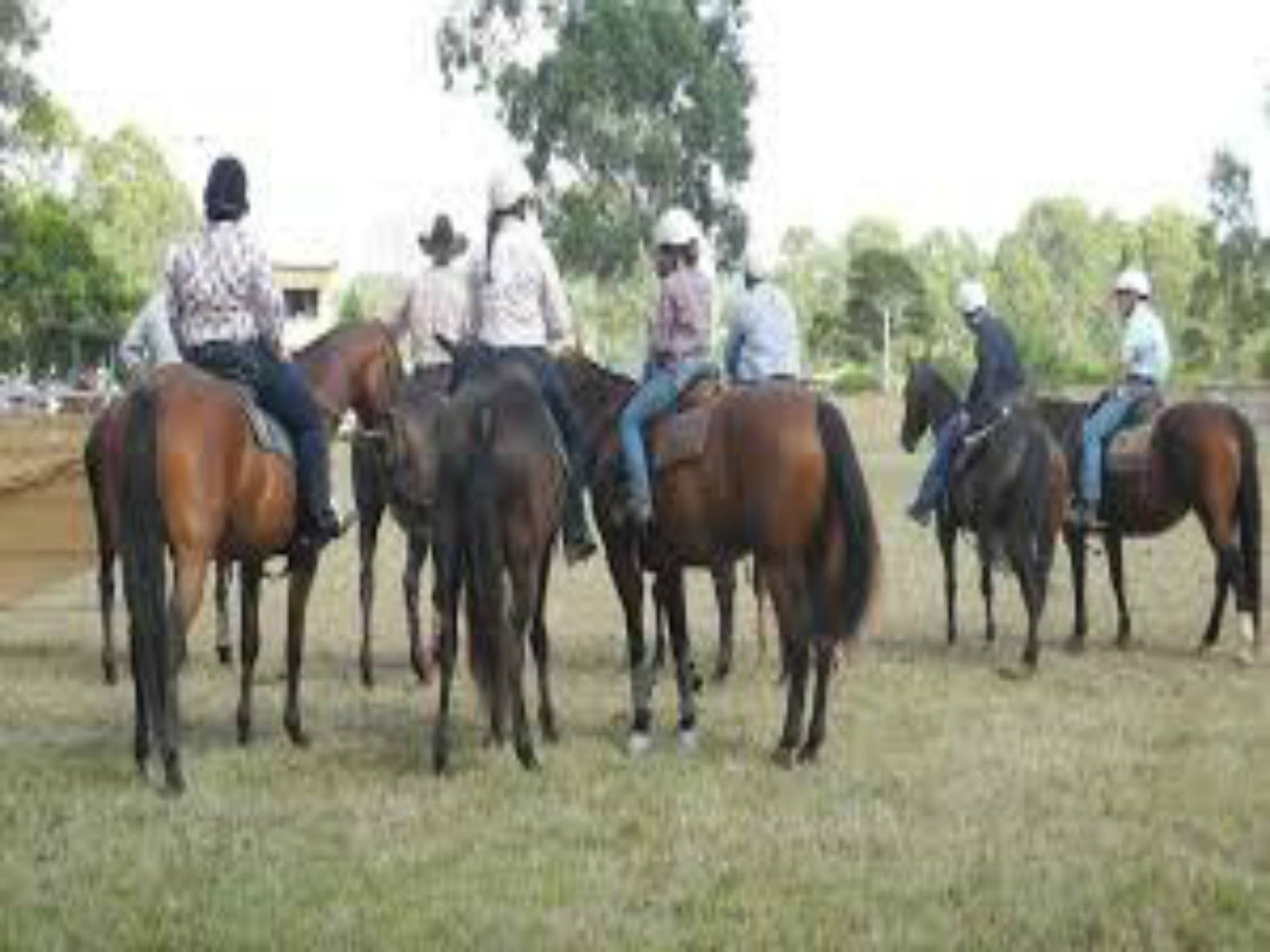Booral NSW Kingaroy Accommodation