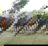 Stroud Show - Kingaroy Accommodation