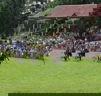 Tumut Boxing Day Races - Kingaroy Accommodation
