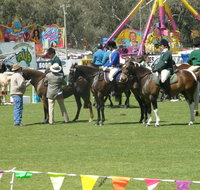 Wangaratta Show - Kingaroy Accommodation