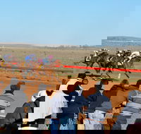 2020 Quorn Cup - Kingaroy Accommodation
