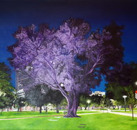 Adelaide Parklands Art Prize  Finalists Exhibition  Sale 2020 - Kingaroy Accommodation