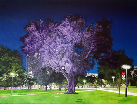 Adelaide Parklands Art Prize  Finalists Exhibition & Sale 2020 - Kingaroy Accommodation 0