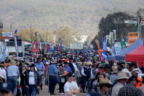 AgQuip - Kingaroy Accommodation 1