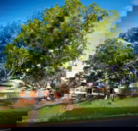 Big Bat Wildlife and Eco Festival - Kingaroy Accommodation